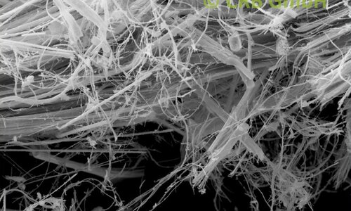 REM-Bild Chrysotil-Asbest in Asbestschnur | © CRB Analyse Service GmbH