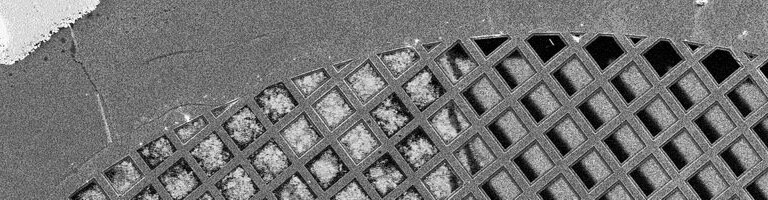 REM-EDX mapping linescan | © CRB Analyse Service GmbH